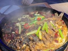 老板恋上鱼-老板恋上鱼(恒隆广场店)