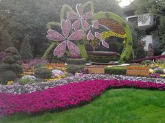-汇龙潭