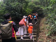 -火炉山森林公园