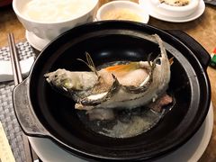 石锅鱼-聚缘海鲜酒家(厚街店)