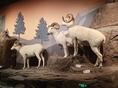 -陕西自然博物馆