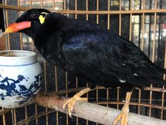 景观位-到家尝北京菜(西坝河店)