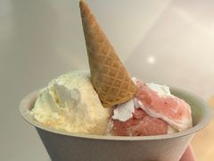 -极拉图·现制冰淇淋(大卫城店)