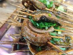 鳝鱼-晓靖轩烧烤(沙河风情店)