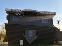 -金山农民画村-枫泾波兰倒置屋