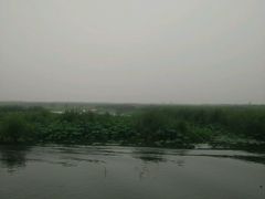 -白洋淀景区