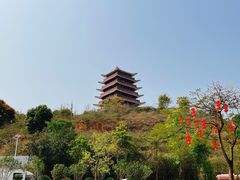-清溪大王山森林公园