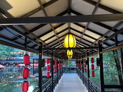 -侨美·唐荔园·40年地道粤菜