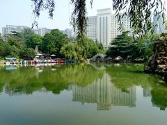 -西苑公园
