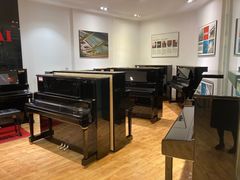 -柏斯琴行(汾阳店)