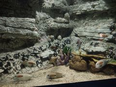 -西安曲江海洋极地公园