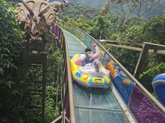 -亚龙湾热带天堂森林公园