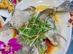-明记海鲜大排档(巽寮湾店)