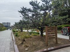 -黄兴公园