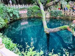 -蝴蝶泉公园
