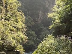 -山西壶关太行山大峡谷旅游景区