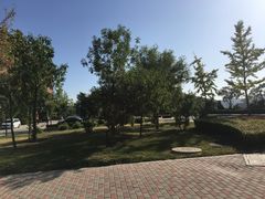 -大连理工大学(凌水校区)