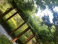 -徐家汇源景区-衡山公园