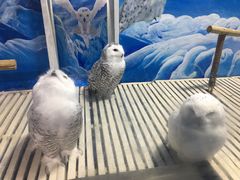 -成都浩海立方海洋公园