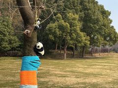 -昆山城市生态森林公园