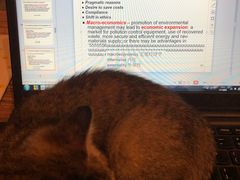 -时光转角咖啡馆(西康路店)