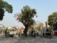 -长洲岛都市农业公园