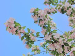 -陕西省西安植物园