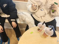 -Let's go狗咖·猫咖·奶狗·桌游(春熙路IFS店)