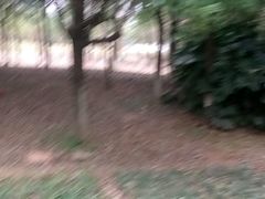 -湖南工业大学(主校区（河西校区）)