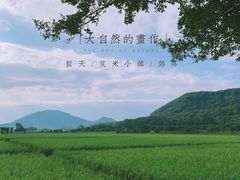 -艾米稻香小镇