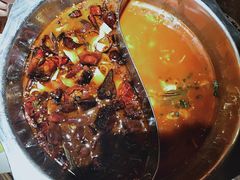 -猫姑娘大盘鸡(商城路店)