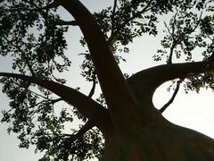 -南通洲际绿博园