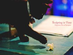 -Sirena海妖日咖夜酒