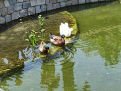 -三里河公园