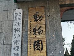 -保定市动物园
