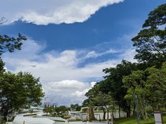 -阳台山森林公园
