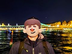 -多瑙河游船