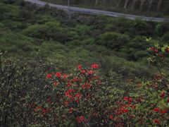 -大围山国家森林公园
