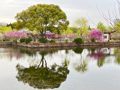 -无锡蠡湖国家湿地公园-蠡园