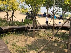 -东郊湿地公园