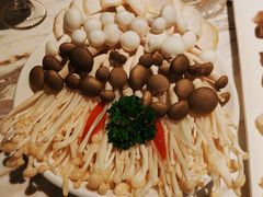 -汤城·料青山
