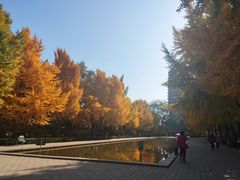 -玲珑塔公园