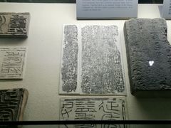 -古陶文明博物馆
