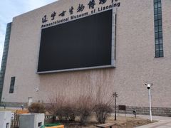 -辽宁古生物博物馆