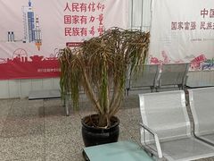 -上海虹桥客运西站