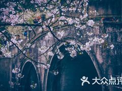 -紫燕百味鸡(同人店)