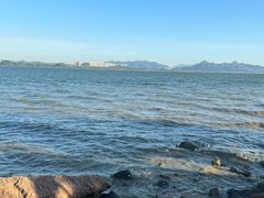 -深圳湾公园(南山区)