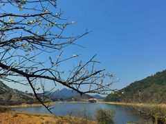 -广州市流溪河国家森林公园