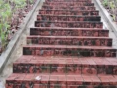 -旗岭森林公园