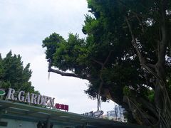 -玫瑰园餐厅